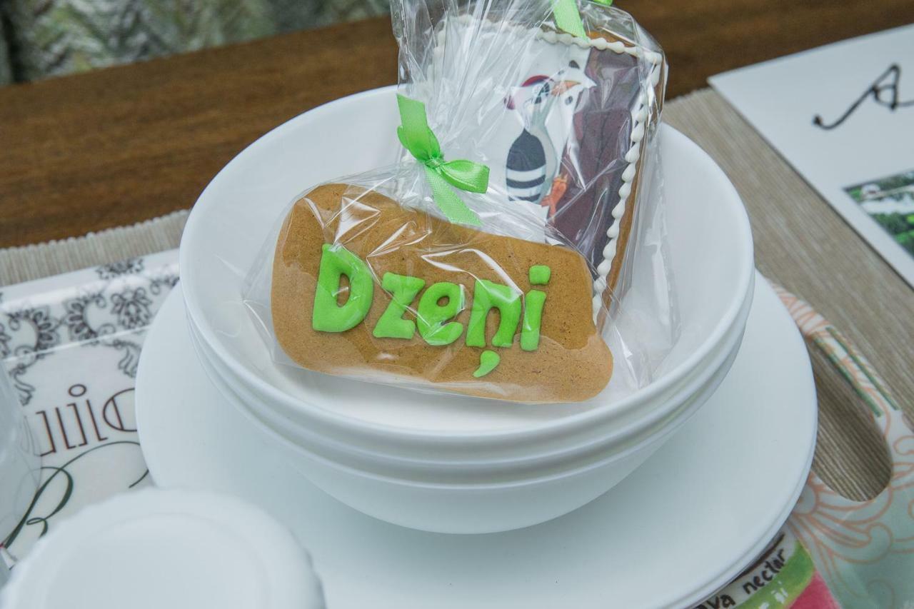 Amatciems Dzeni旅馆 外观 照片